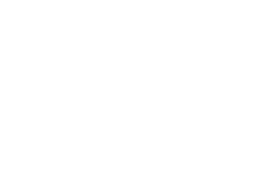 diversITy-talent logo-white